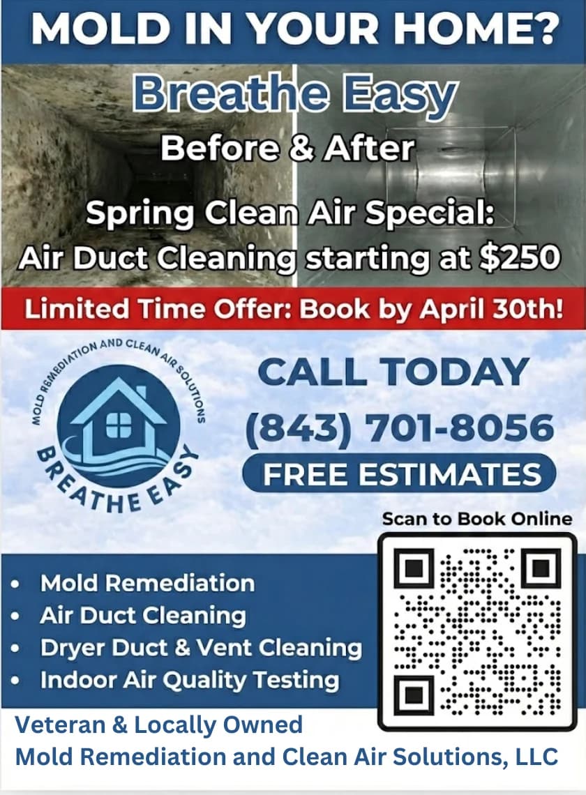 Mold Remediation and Clean Air Solutions, LLC