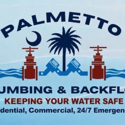Palmetto Plumbing & Backflow logo