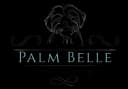 Palm Belle Luxury Grooming logo